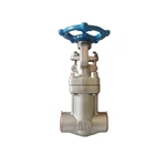 Forged Bellow Sealed Gate Valve