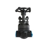 Forged Steel SW Gate Valve