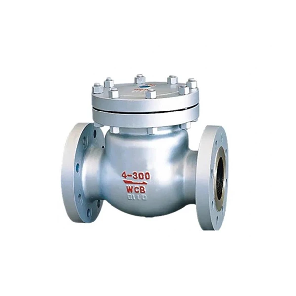 Cast Steel Swing Check Valve