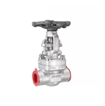 Forged Stainless Steel Gate Valve 800LB