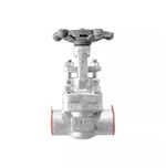 Forged Stainless Steel Gate Valve 800LB