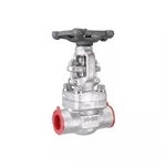 Forged Stainless Steel Gate Valve 800LB