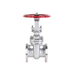 Stainless Steel Gate Valve