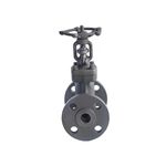 Pressure Seal Globe Valve